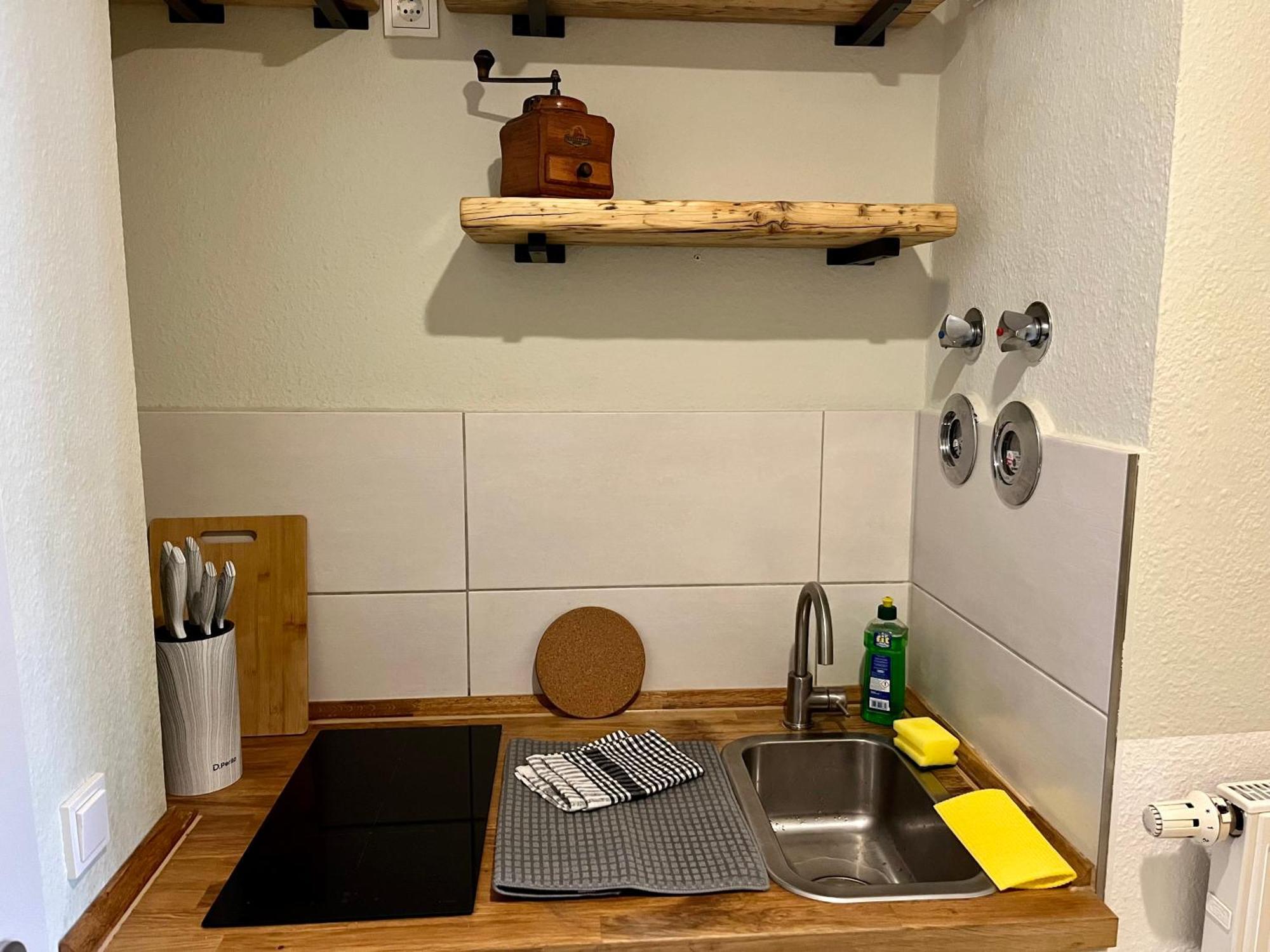 Studio An Der Elbe Mit Balkon, Kueche Und Netflix Δρέσδη Εξωτερικό φωτογραφία