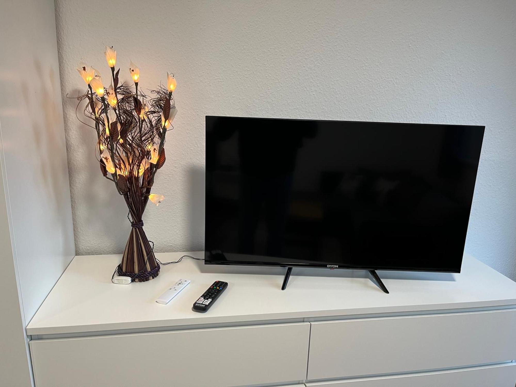 Studio An Der Elbe Mit Balkon, Kueche Und Netflix Δρέσδη Εξωτερικό φωτογραφία